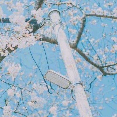 天诀手游百度版下载
