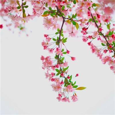 英雄烈焰游戏下载